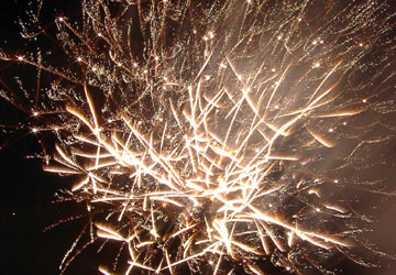 2007�N�D�y�L����ԉΑ��i���V�EUHB�ԉΑ��j33