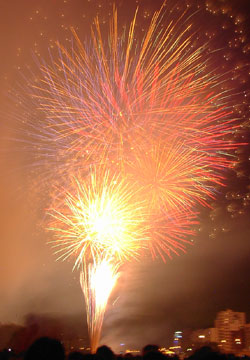 2007�N�D�y�L����ԉΑ��i���V�EUHB�ԉΑ��j44