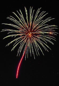 �E�C���O�x�C���M�I�[�V�����Y�f�C�ԉΑ��i7��14���j11