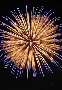 �E�C���O�x�C���M�I�[�V�����Y�f�C�ԉΑ��i7��14���j12