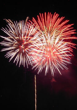 �E�C���O�x�C���M�I�[�V�����Y�f�C�ԉΑ��i7��14���j21