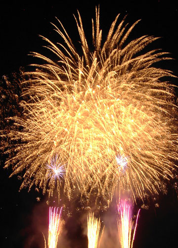 �E�C���O�x�C���M�I�[�V�����Y�f�C�ԉΑ��i7��14���j24