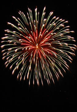 �E�C���O�x�C���M�I�[�V�����Y�f�C�ԉΑ��i7��21���j7