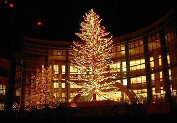 ���M�����O�N���X�}�X2007�i�E�C���O�x�C���M�u�r�b�O�c���[�v�j1