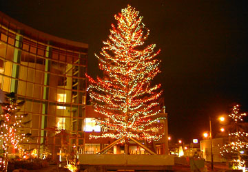 ���M�����O�N���X�}�X2007�i�E�C���O�x�C���M�u�r�b�O�c���[�v�j2