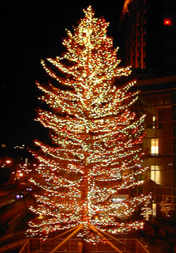 ���M�����O�N���X�}�X2007�i�E�C���O�x�C���M�u�r�b�O�c���[�v�j3