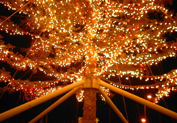 ���M�����O�N���X�}�X2007�i�E�C���O�x�C���M�u�r�b�O�c���[�v�j5