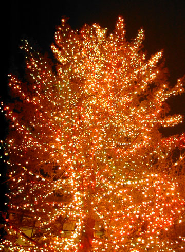 ���M�����O�N���X�}�X2007�i�E�C���O�x�C���M�u�r�b�O�c���[�v�j6