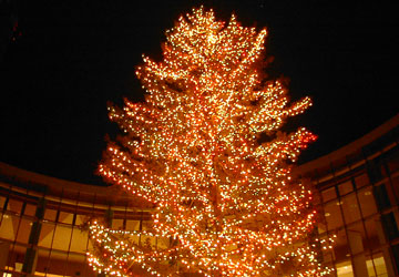 ���M�����O�N���X�}�X2007�i�E�C���O�x�C���M�u�r�b�O�c���[�v�j7