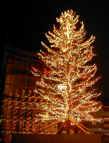 ���M�����O�N���X�}�X2007�i�E�C���O�x�C���M�u�r�b�O�c���[�v�j8