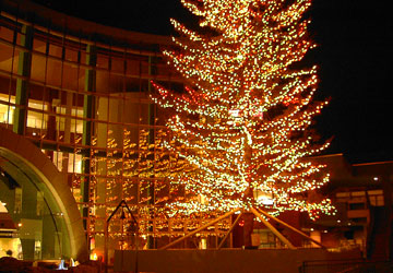 ���M�����O�N���X�}�X2007�i�E�C���O�x�C���M�u�r�b�O�c���[�v�j9