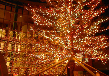 ���M�����O�N���X�}�X2007�i�E�C���O�x�C���M�u�r�b�O�c���[�v�j10