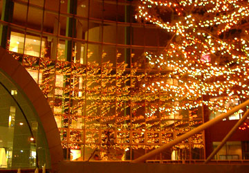 ���M�����O�N���X�}�X2007�i�E�C���O�x�C���M�u�r�b�O�c���[�v�j11