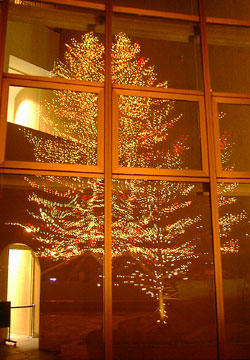 ���M�����O�N���X�}�X2007�i�E�C���O�x�C���M�u�r�b�O�c���[�v�j13