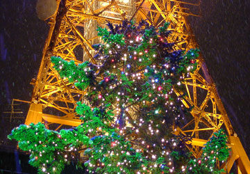 第27回さっぽろホワイトイルミネーション(大通1丁目会場)3 第27回さっぽろホワイトイルミネーション(大通1丁目会場)3