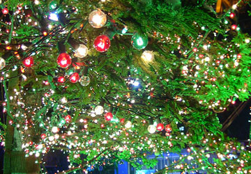 第27回さっぽろホワイトイルミネーション(大通1丁目会場)4 第27回さっぽろホワイトイルミネーション(大通1丁目会場)4