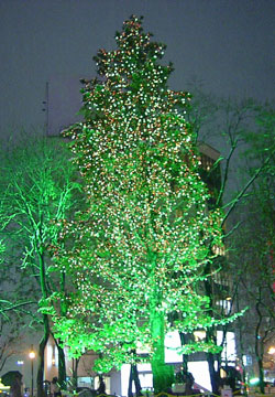 第27回さっぽろホワイトイルミネーション(大通1丁目会場)6 第27回さっぽろホワイトイルミネーション(大通1丁目会場)6