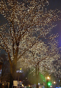 第27回さっぽろホワイトイルミネーション(大通2丁目から1丁目会場方面)1 第27回さっぽろホワイトイルミネーション(大通2丁目から1丁目会場方面)1