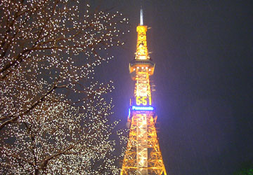 第27回さっぽろホワイトイルミネーション(大通2丁目から1丁目会場方面)2 第27回さっぽろホワイトイルミネーション(大通2丁目から1丁目会場方面)2