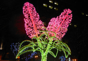 ��27�񂳂��ۂ�z���C�g�C���~�l�[�V�����i���4���ډ��j6