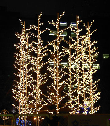 ��27�񂳂��ۂ�z���C�g�C���~�l�[�V�����i���4���ډ��j9