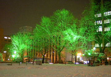 ��27�񂳂��ۂ�z���C�g�C���~�l�[�V�����i���5�`7���ډ��j2