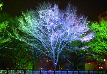 ��27�񂳂��ۂ�z���C�g�C���~�l�[�V�����i���5�`7���ډ��j3