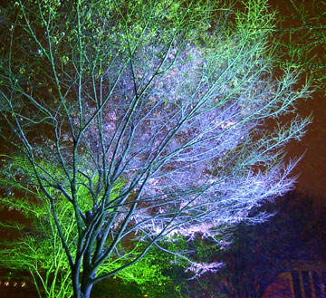 ��27�񂳂��ۂ�z���C�g�C���~�l�[�V�����i���5�`7���ډ��j4