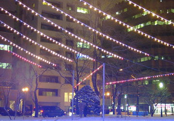 ��27�񂳂��ۂ�z���C�g�C���~�l�[�V�����i���8���ډ��j8