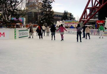 第59回さっぽろ雪まつり(大通1丁目会場)6 第59回さっぽろ雪まつり(大通1丁目会場)6