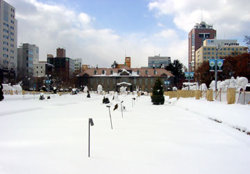 ��59�񂳂��ۂ��܂�i���12���ډ��j1