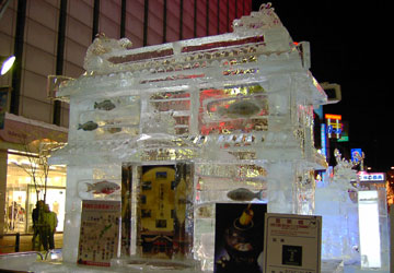 ��59�񂳂��ۂ��܂�i�������̉��j6