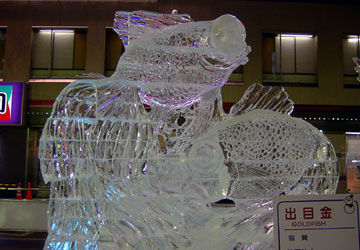 ��59�񂳂��ۂ��܂�i�������̉��j9