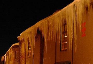 ��10�񏬒M�Ⴀ����̘H�i�^�͉�ꂻ��1�j4