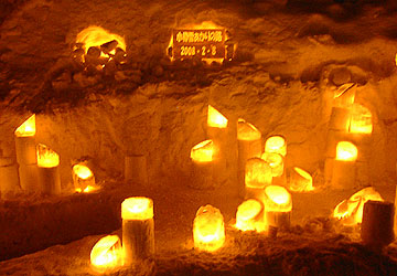 ��10�񏬒M�Ⴀ����̘H�i�^�͉�ꂻ��1�j8