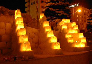 ��10�񏬒M�Ⴀ����̘H�i�^�͉�ꂻ��1�j13