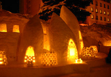 ��10�񏬒M�Ⴀ����̘H�i�^�͉�ꂻ��1�j16