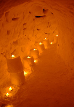 ��10�񏬒M�Ⴀ����̘H�i�^�͉�ꂻ��2�j8