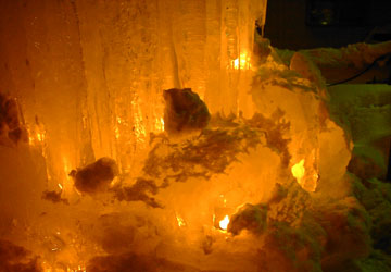 ��10�񏬒M�Ⴀ����̘H�i��{����ꂻ��2�j12