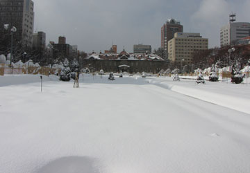 ��60�񂳂��ۂ��܂�i���12���ډ��j1