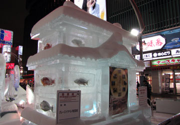 ��60�񂳂��ۂ��܂�i�������̉��j8