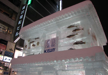 ��60�񂳂��ۂ��܂�i�������̉��j10