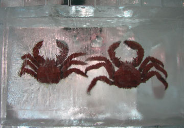 ��60�񂳂��ۂ��܂�i�������̉��j12