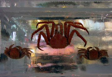 ��61�񂳂��ۂ��܂��� 6