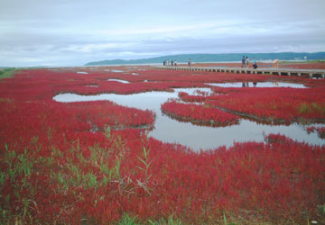 �K�����T���S���Q���n1