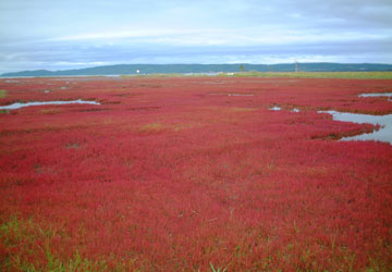 �K�����T���S���Q���n2