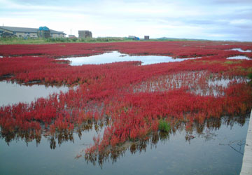 �K�����T���S���Q���n3