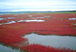 �K�����T���S���Q���n4