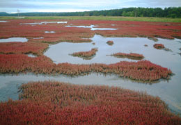 �K�����T���S���Q���n5