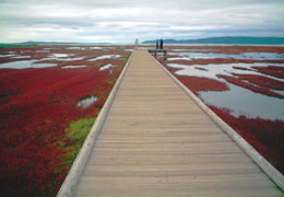 �K�����T���S���Q���n7